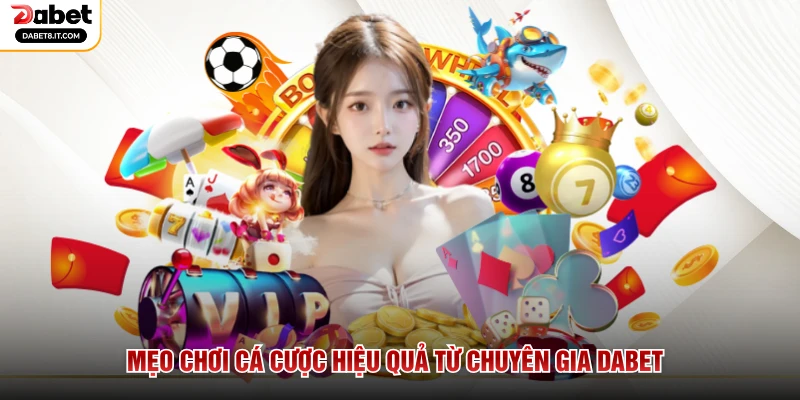 Mẹo chơi cá cược hiệu quả từ chuyên gia DABET