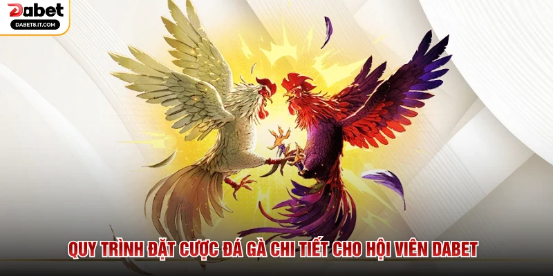 Quy trình đặt cược đá gà chi tiết cho hội viên DABET