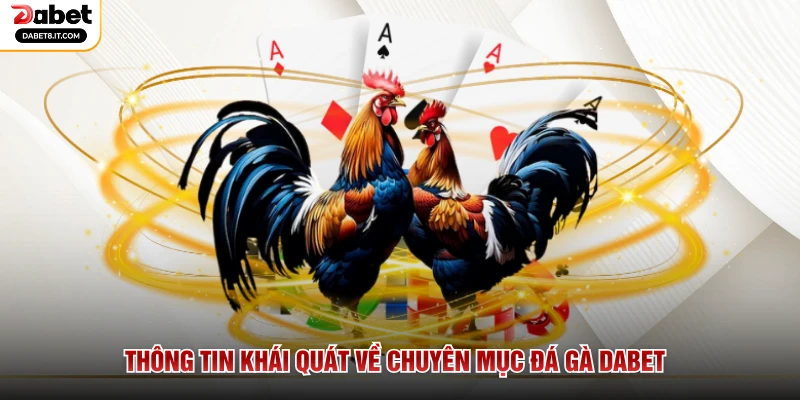 Thông tin khái quát về chuyên mục đá gà DABET