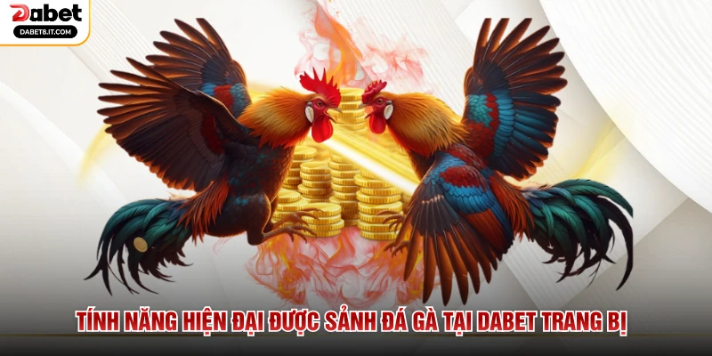 Tính năng hiện đại được sảnh đá gà tại DABET trang bị