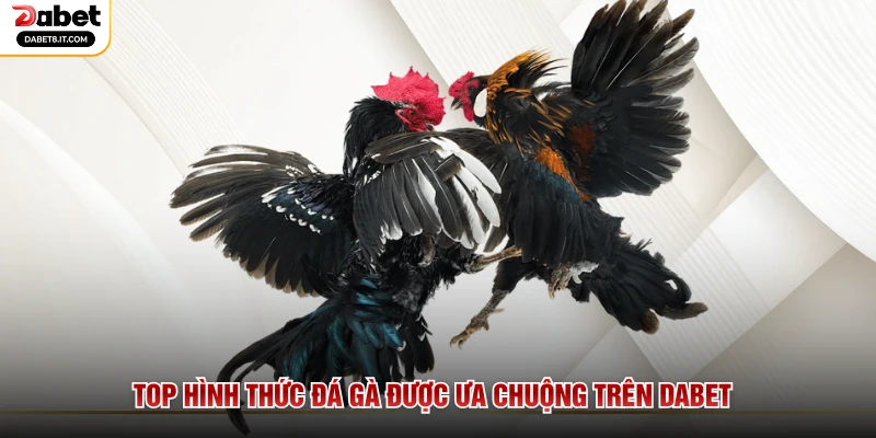Top hình thức đá gà được ưa chuộng trên DABET